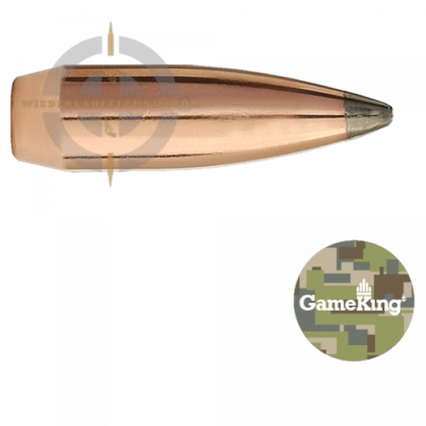 Sierra GameKing 2125 Geschoss